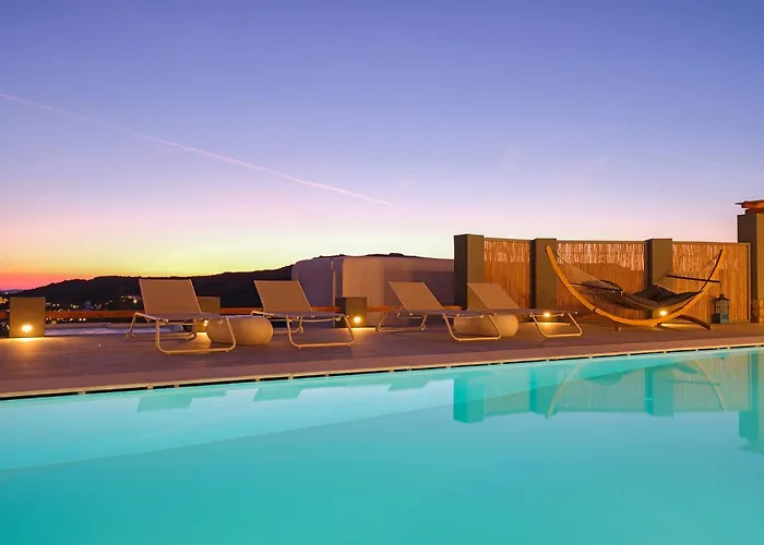 Chrysanthemo 아노 메라