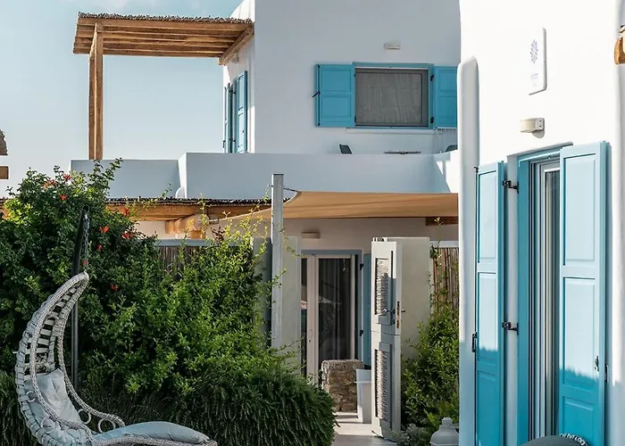 Chrysanthemo 아노 메라