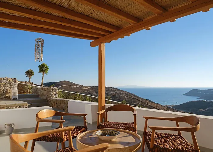 Chrysanthemo Ano Mera