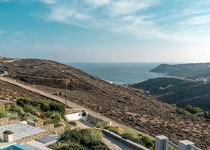 Chrysanthemo Ано Мера