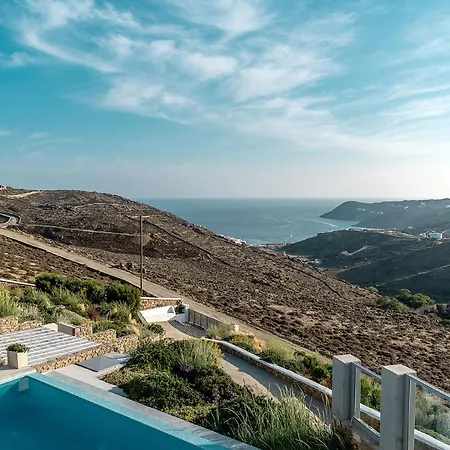 Chrysanthemo Ano Mera